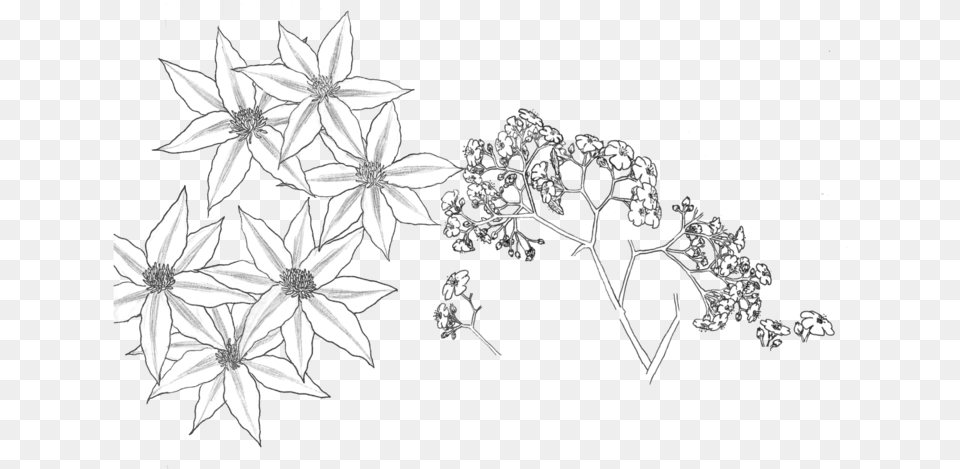 White Flower Pattern Transparent Flowar Parttern Transparent Background White, Accessories, Art, Floral Design, Graphics Png