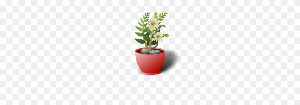 White Flower Pot, Flower Arrangement, Plant, Potted Plant, Ikebana Free Png
