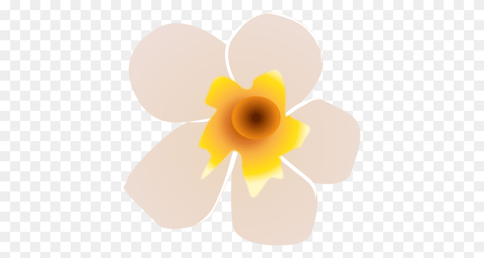 White Flower Spa, Daffodil, Plant, Anemone, Petal Free Transparent Png