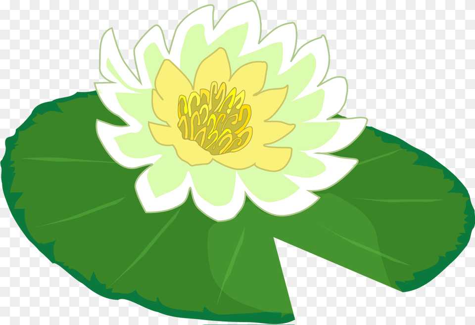 White Flower Water Lily Clipart The Cliparts, Anther, Dahlia, Plant, Pond Lily Free Png