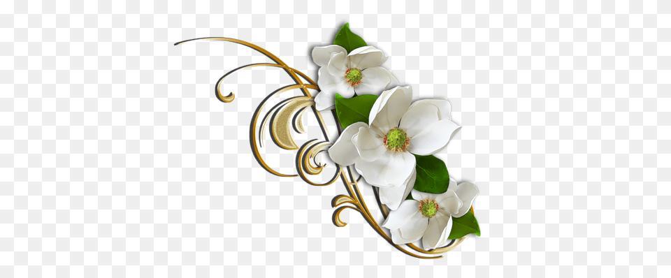 White Flower With Gold Decorative Elemant Gallery, Anemone, Art, Plant, Floral Design Png