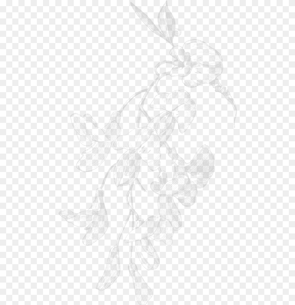 White Flowers Aesthetic Transparent, Art, Person Free Png