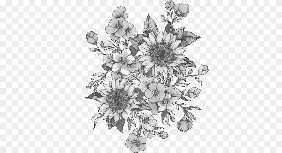 White Flowers Clip Library Black And White Sunflower Drawing, Art, Floral Design, Graphics, Pattern Free Transparent Png