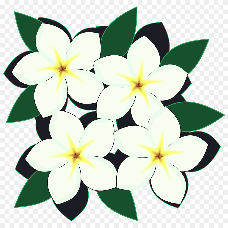 White Flowers Clipart, Art, Pattern, Graphics, Flower Free Transparent Png