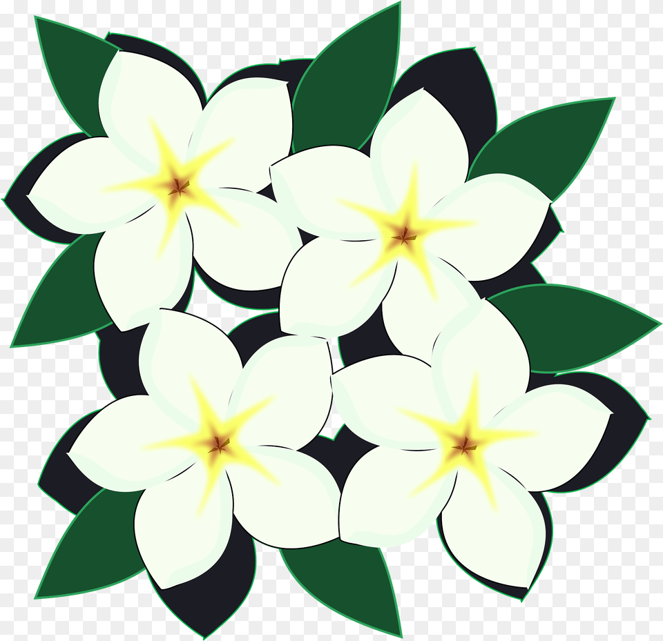 White Flowers Clipart Transparent Flores Clipart, Art, Pattern, Graphics, Flower Free Png