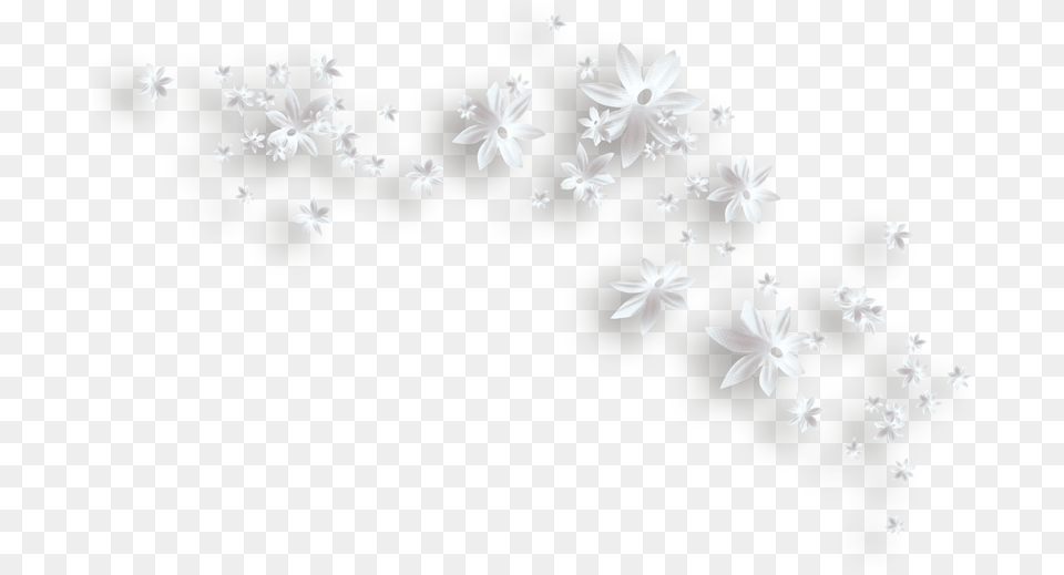 White Flowers Decorative Clipart Clip Art, Flower, Plant, Graphics, Floral Design Png Image