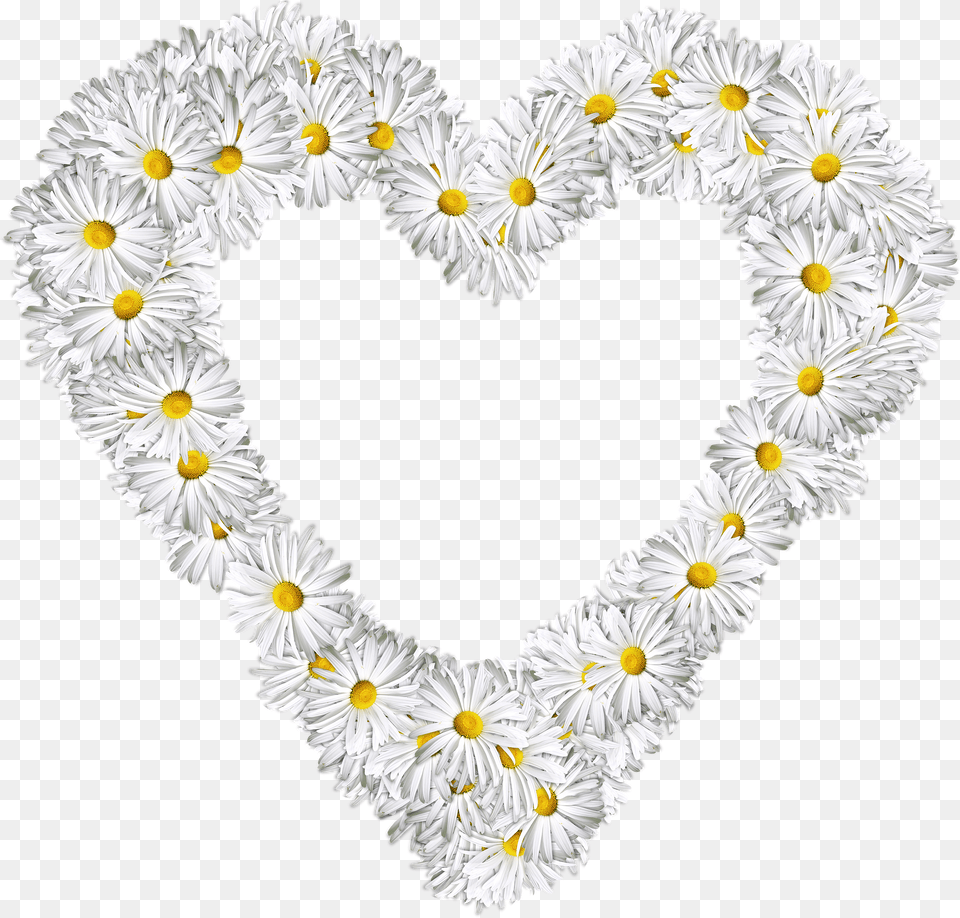 White Flowers Heart Image White Flower Heart Free Png Download