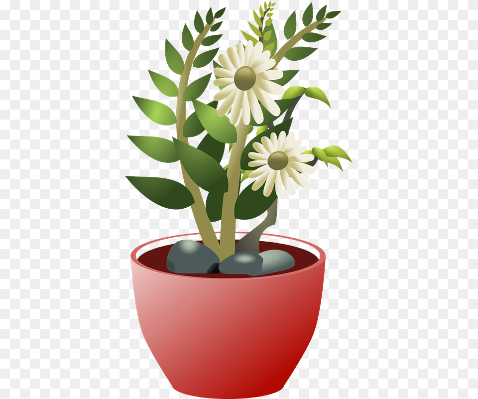 White Flowers In A Brown Pot Clipart Background Pot Bunga, Daisy, Flower, Flower Arrangement, Plant Free Png Download