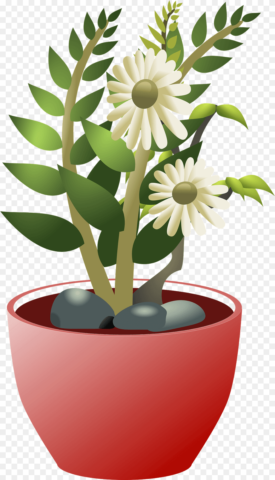 White Flowers In A Brown Pot Clipart Free Download Clip Art, Plant, Daisy, Flower, Flower Arrangement Png