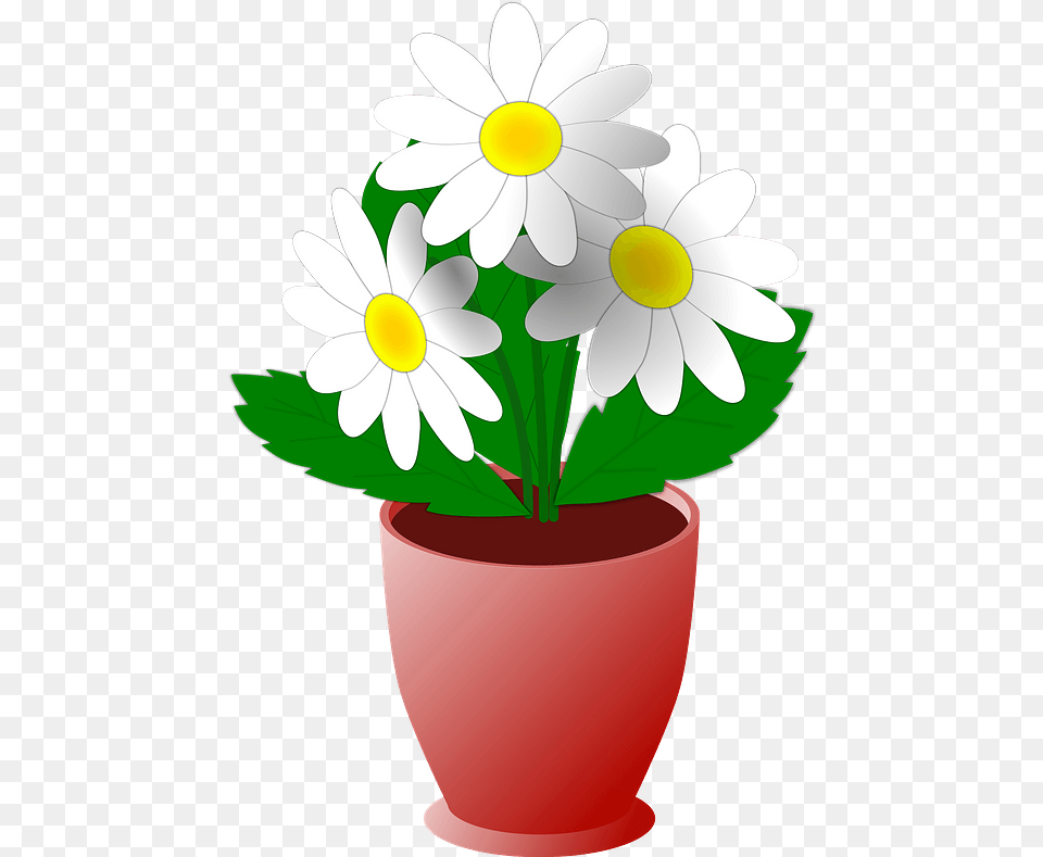 White Flowers In A Brown Pot Clipart Potted Plant Clipart, Daisy, Flower, Potted Plant, Dynamite Free Png