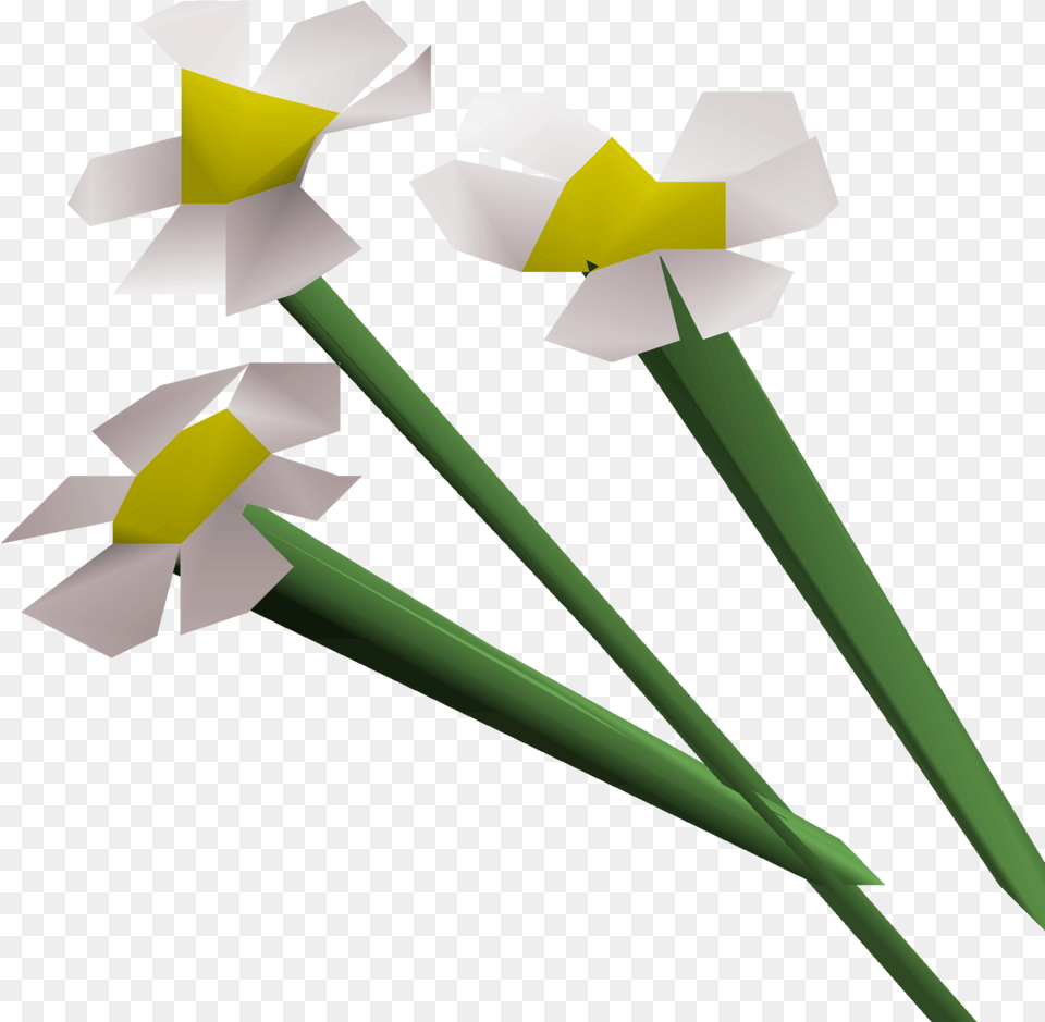 White Flowers Osrs Wiki White Flower Osrs, Daffodil, Plant, Person Free Transparent Png