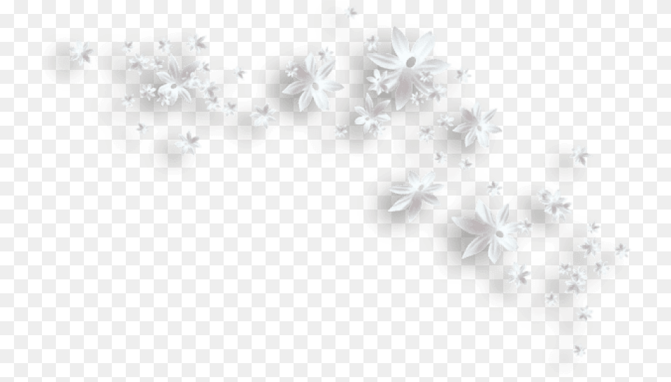White Flowers White Flowers Clipart, Flower, Plant, Art, Daisy Png