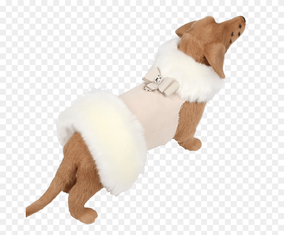 White Fox Fur Coat With Big Bow Fur Clothing, Accessories, Mammal, Wildlife, Bear Free Png