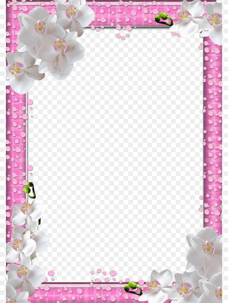 White Frame White Flowers Frame, Flower, Plant Png