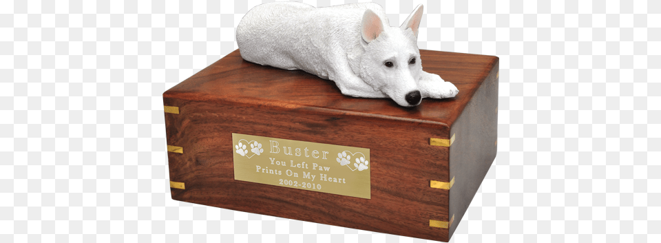 White German Shepherd Figurine Wood Urn Laying With Wood Cremation Urn, Animal, Canine, Dog, Mammal Png