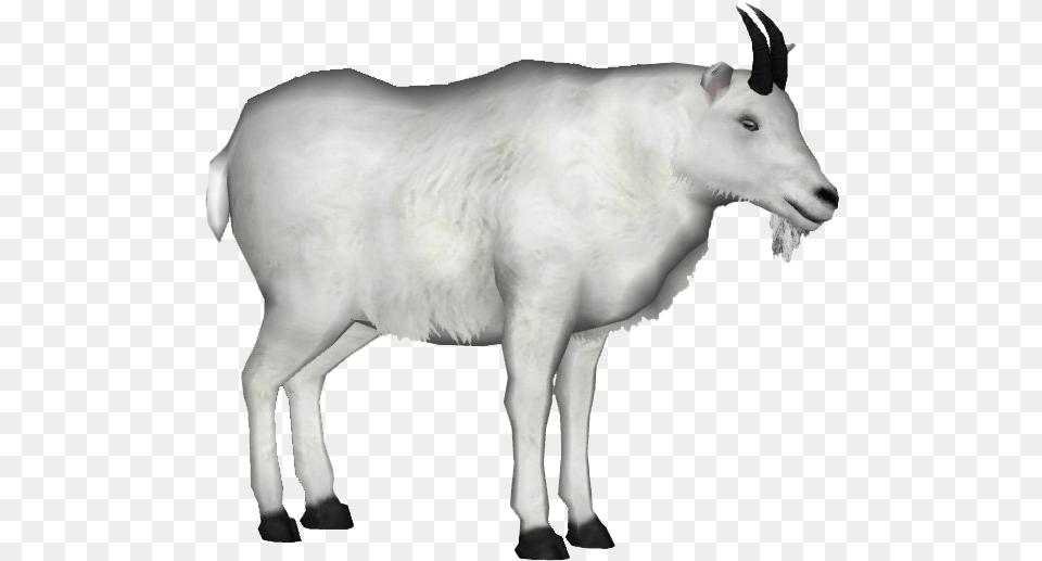 White Goat File, Livestock, Animal, Mammal, Cattle Free Transparent Png