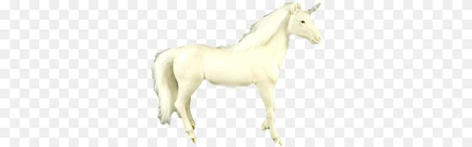 White Gold Unicorn Fictional Character, Animal, Horse, Mammal, Stallion Free Png