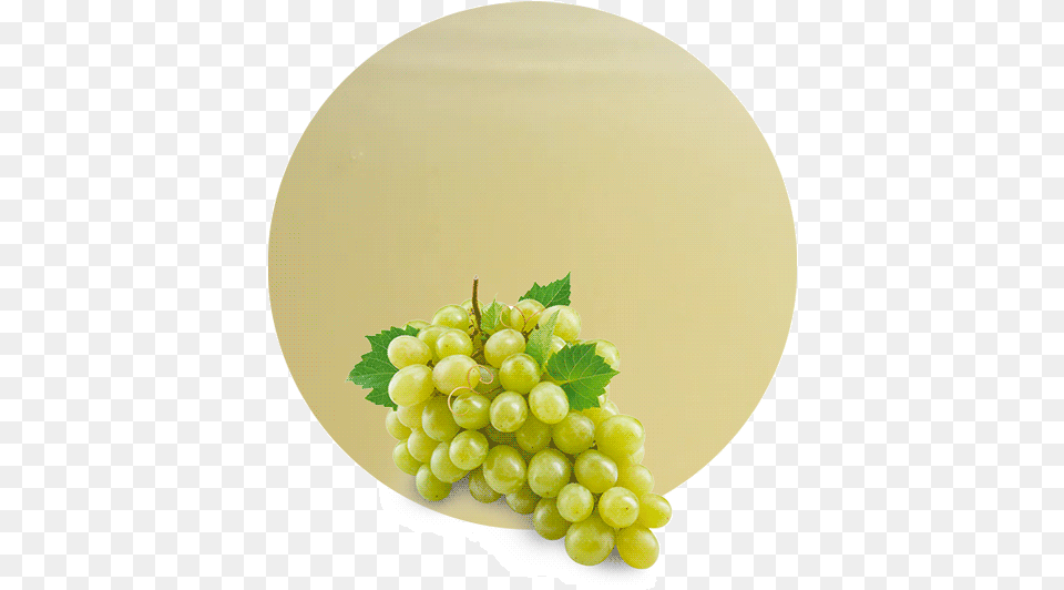 White Grape, Food, Fruit, Grapes, Plant Free Png Download