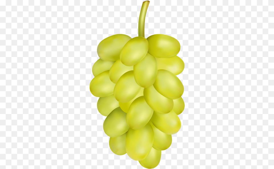 White Grape Clip Art Clip Art, Food, Fruit, Grapes, Plant Png Image