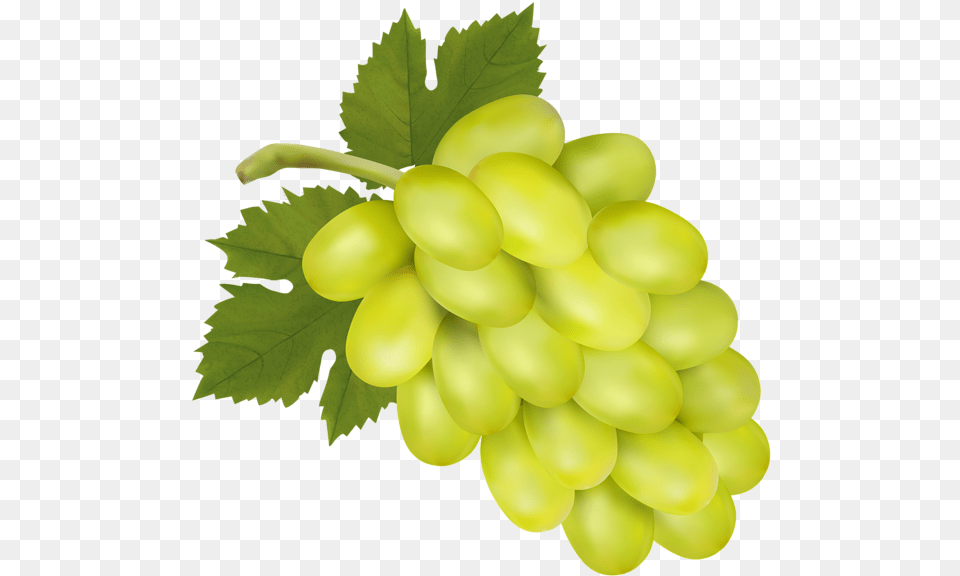 White Grape Clip Art Image Green Grapes Clip Art, Food, Fruit, Plant, Produce Free Png Download