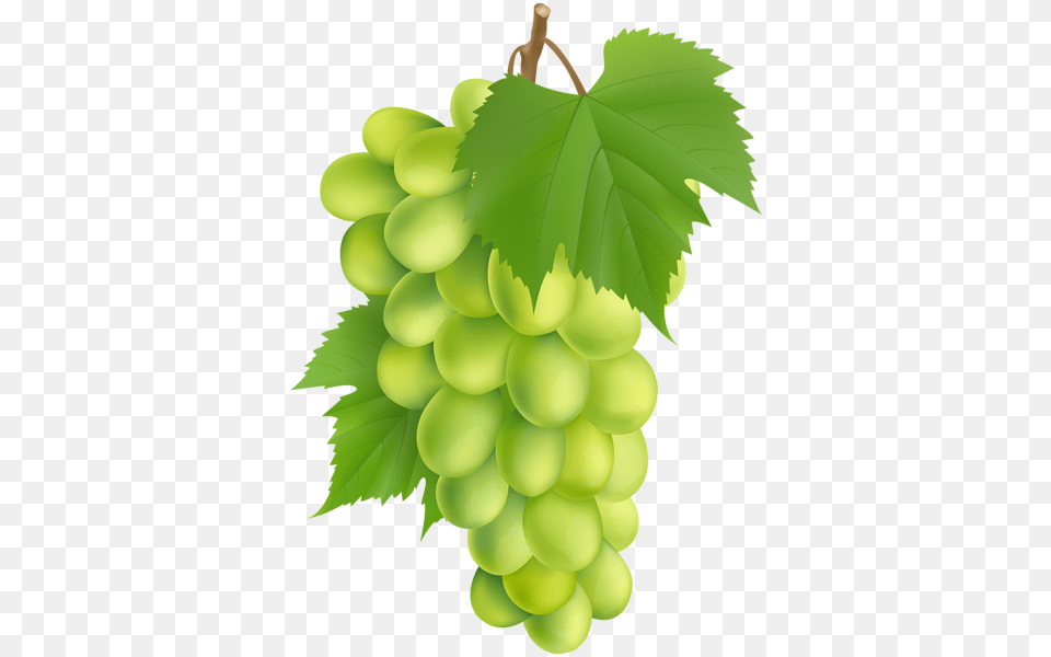White Grape Clip Art Seedless Fruit, Food, Grapes, Plant, Produce Free Transparent Png