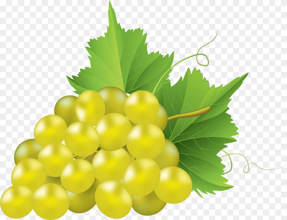 White Grape Transparent Clip Art White Grape Clipart Png Image