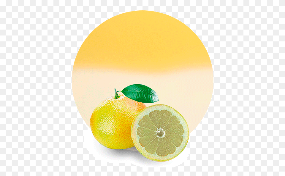 White Grapefruit Juice Concentrate, Citrus Fruit, Food, Fruit, Lemon Free Png Download