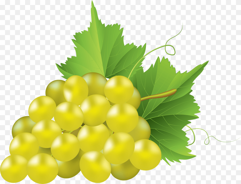 White Grapes Clip Library Files White Grape Png