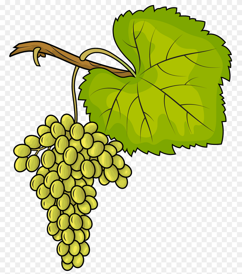White Grapes Clipart, Food, Fruit, Plant, Produce Free Transparent Png
