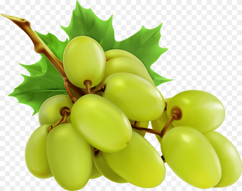 White Grapes Clipart Grapes Clipart, Food, Fruit, Plant, Produce Png