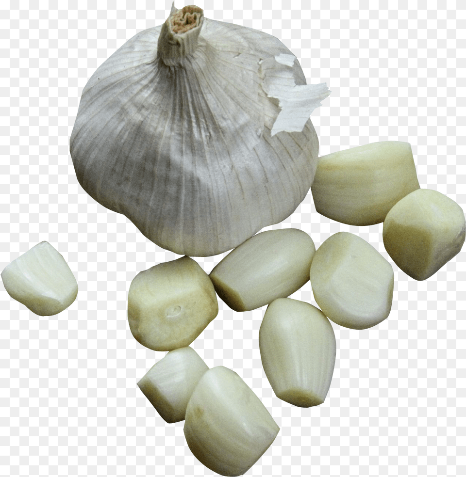 White Grey Garlic Polyvore Moodboard Garlic, Food, Produce, Plant, Vegetable Free Png Download
