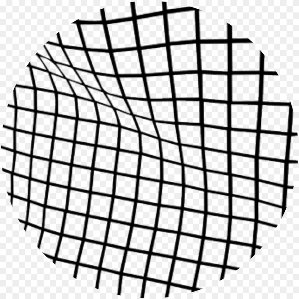 White Grid Black And White Line Aesthetic, Sphere, Racket, Photography, Pattern Free Transparent Png