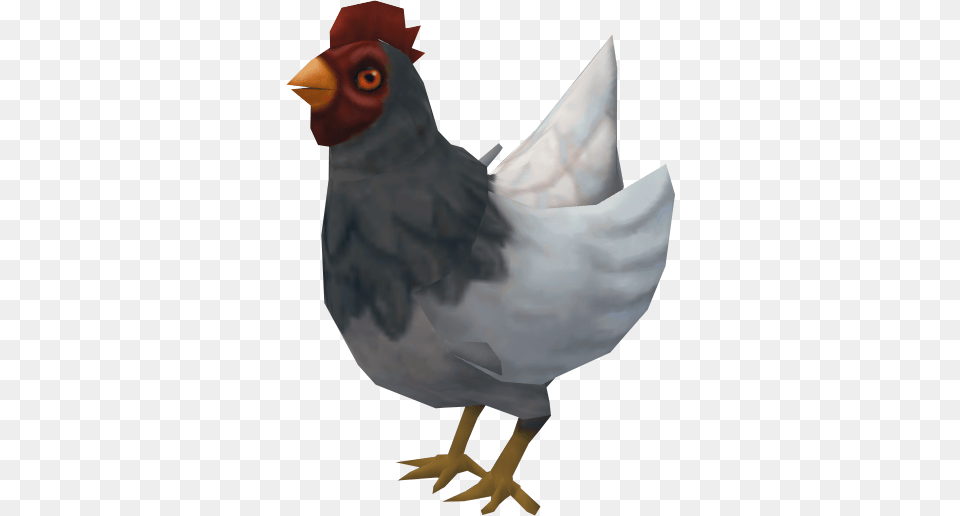 White Hen Runescape Chicken, Animal, Bird, Fowl, Poultry Free Png Download