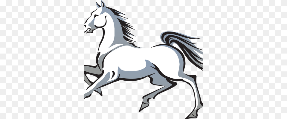 White Horse Clip Art, Animal, Mammal, Person, Adult Free Transparent Png
