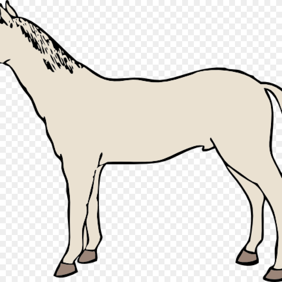 White Horse Clipart Clipart, Stencil, Animal, Mammal, Person Free Transparent Png