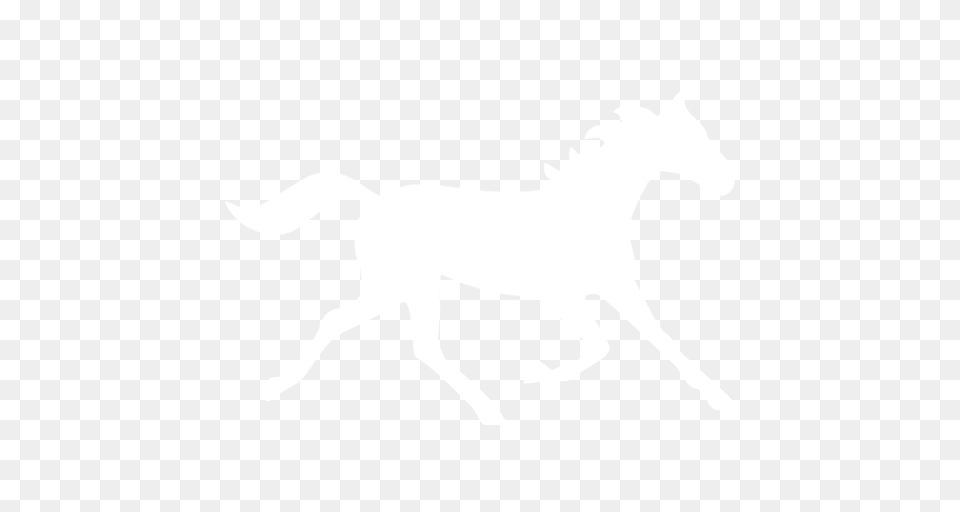 White Horse Icon, Silhouette, Stencil, Animal, Colt Horse Png
