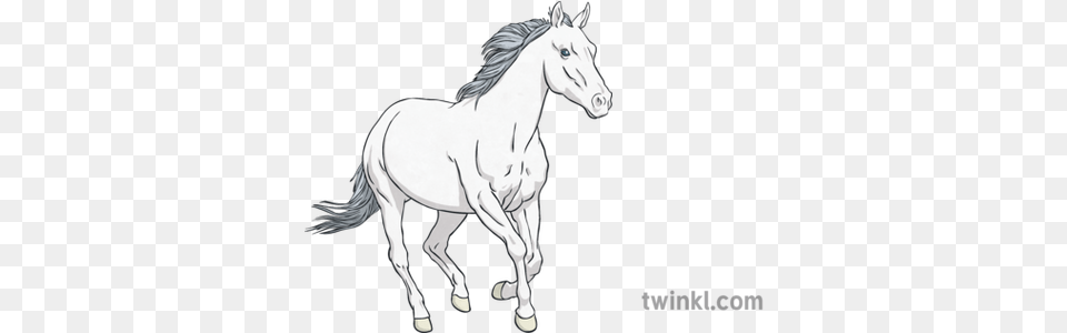White Horse Illustration Twinkl Stallion, Andalusian Horse, Animal, Mammal, Art Png Image