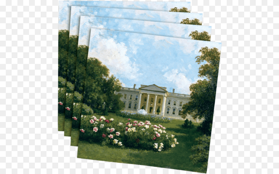 White House 1914 Cocktail Napkins Rose, Grass, Plant, Art, Painting Free Png Download