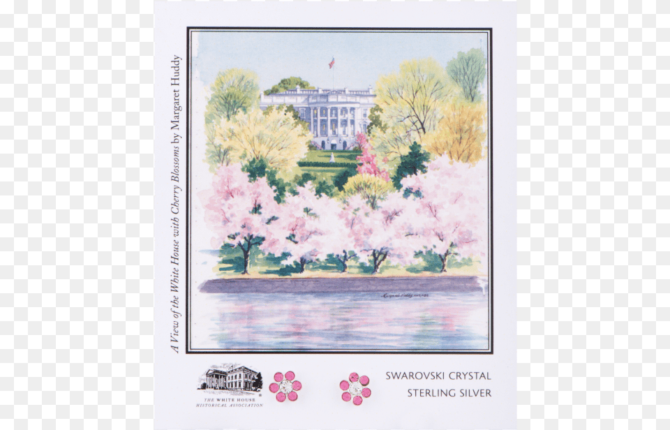 White House Cherry Blossoms Watercolor, Architecture, Building, Flower, Plant Png Image