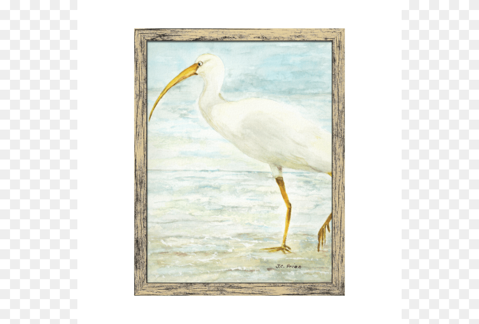 White Ibis On The Shore Beach Watercolor Painting Stretched Painting, Animal, Bird, Waterfowl, Crane Bird Free Transparent Png
