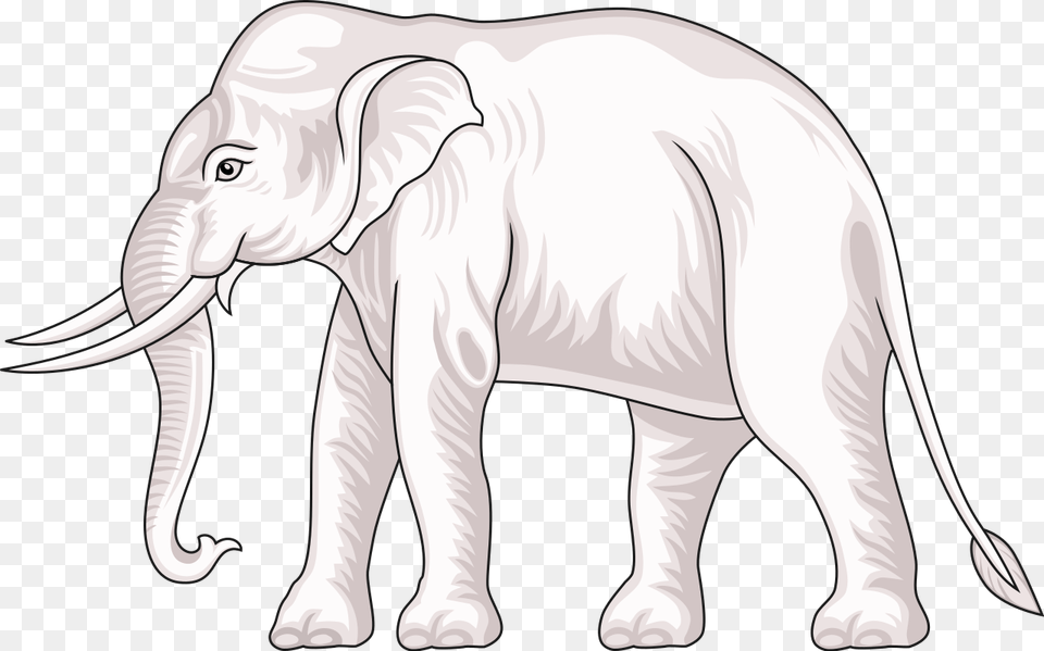 White Indian Elephant, Animal, Mammal, Wildlife, Dinosaur Free Transparent Png