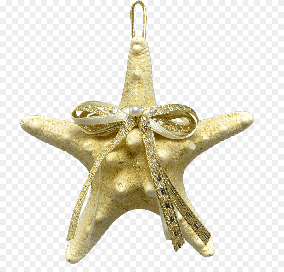 White Knobby Starfish Christmas Holidays Ornament 3 4quot Pendant, Accessories, Animal, Sea Life Free Transparent Png