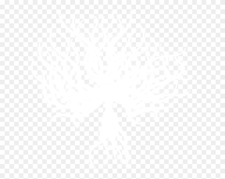 White Lady Full Hollow Knight White Lady, Silhouette, Adult, Bride, Female Png Image