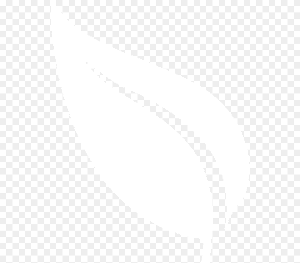 White Leaf, Bow, Weapon, Flower, Plant Png Image