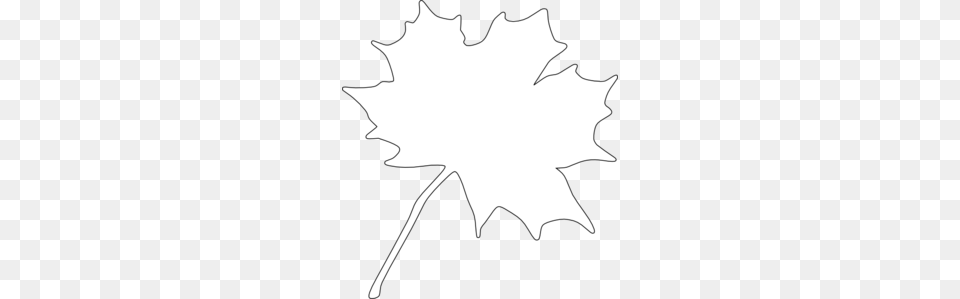 White Leaf Clip Art, Maple Leaf, Plant Png