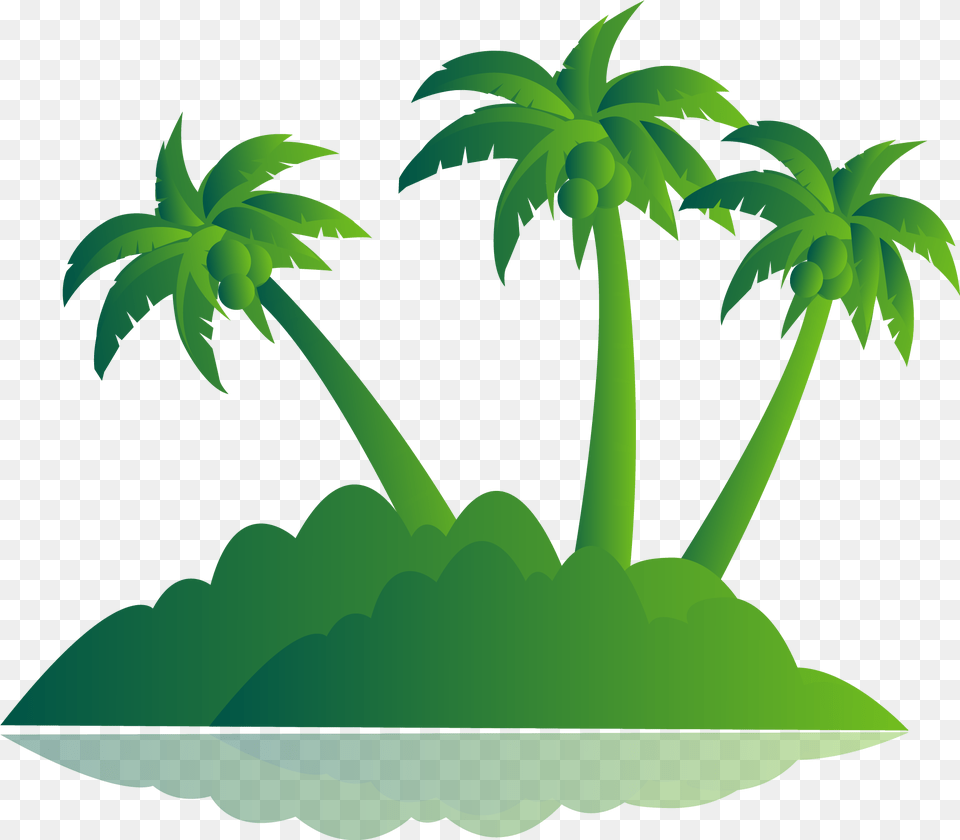 White Library Green Palm Tree Island Green Vector Palm Tree, Vegetation, Rainforest, Plant, Palm Tree Png Image
