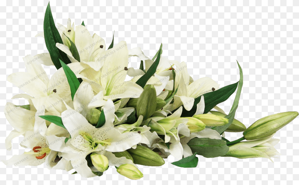 White Lilies Flower, Flower Arrangement, Flower Bouquet, Plant Free Png Download