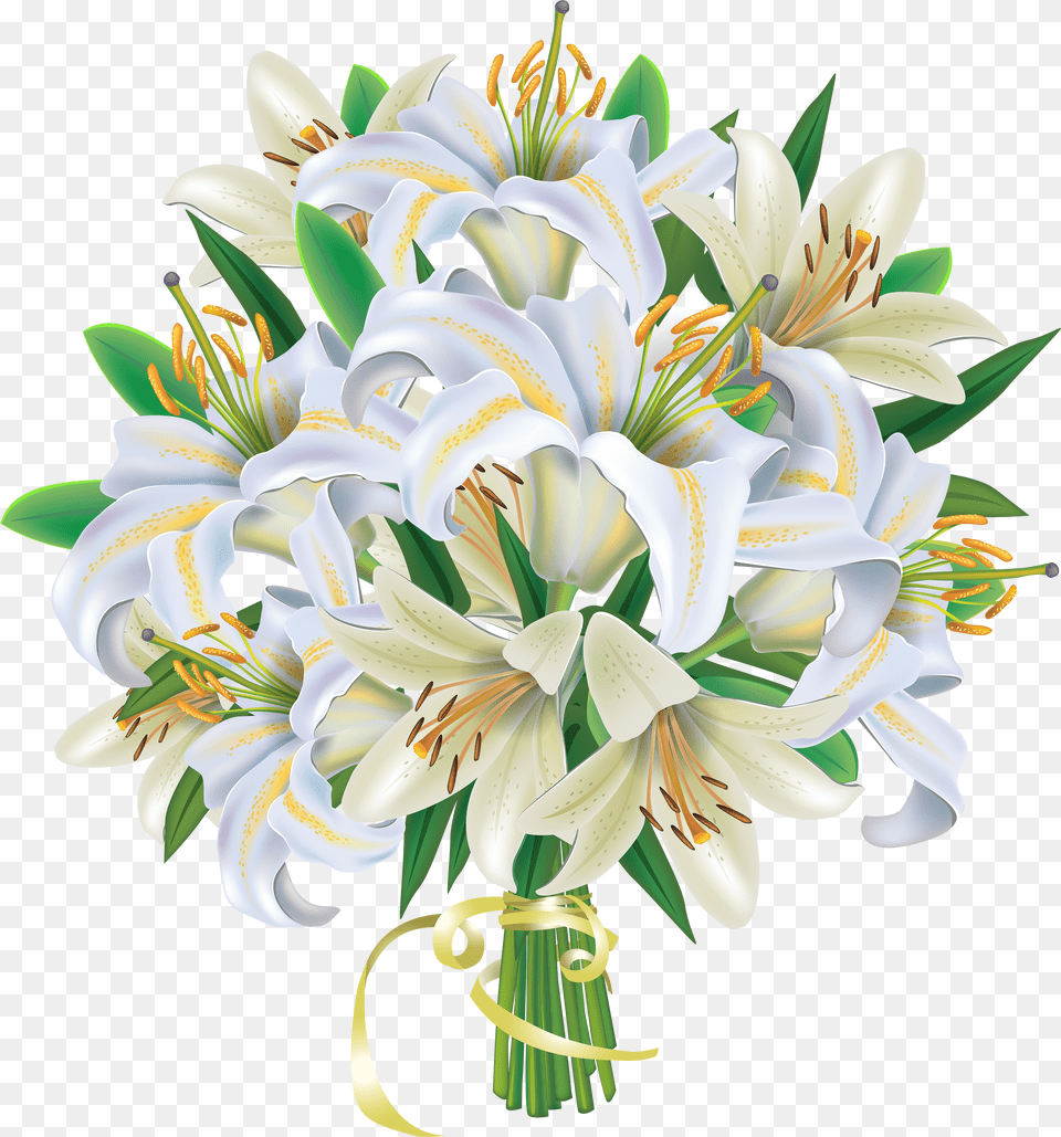 White Lily No Background U0026 Bunch Of White Flowers, Handwriting, Text, Calligraphy Free Png