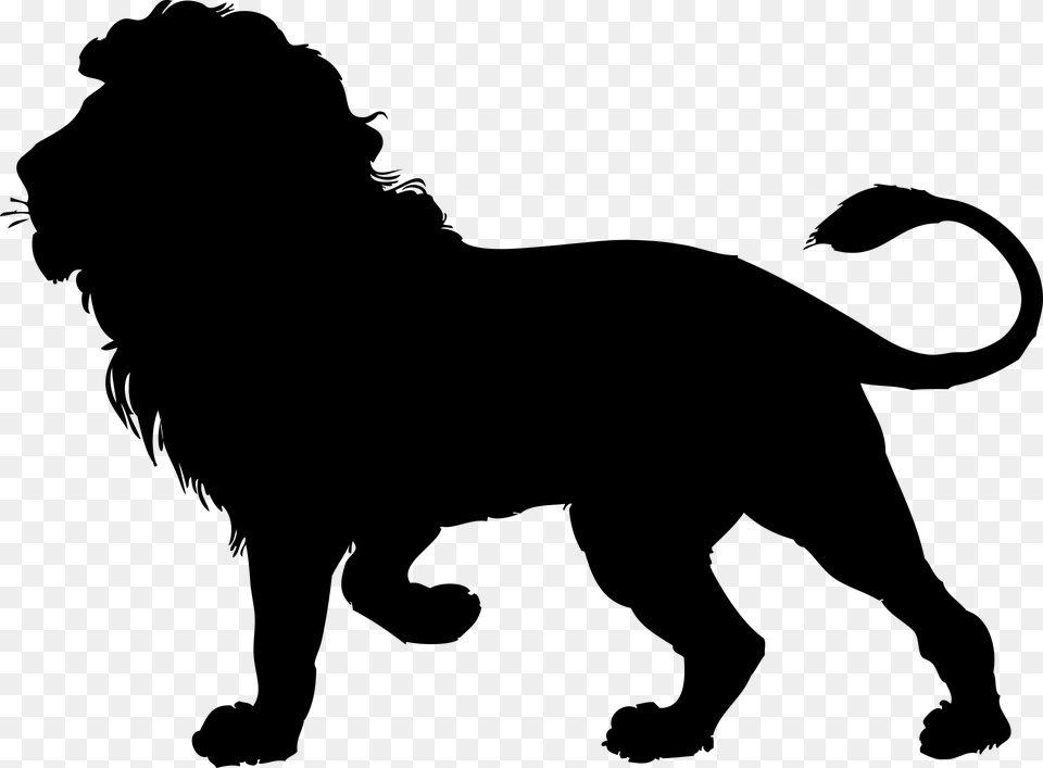 White Lion Clipart Lion Outline, Gray Png