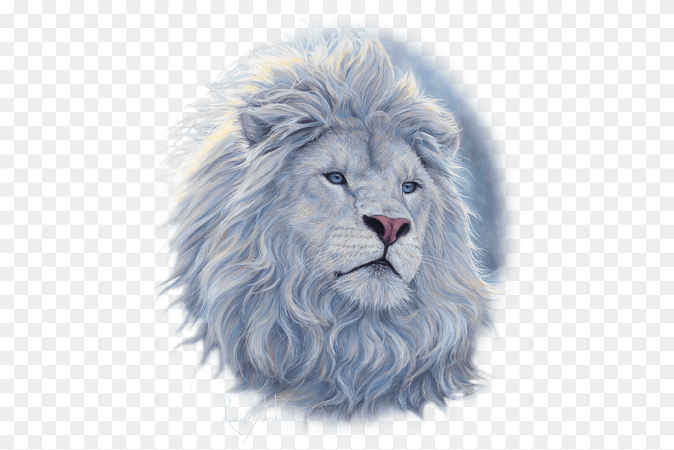 White Lion White Lion Price In India, Animal, Mammal, Wildlife Png